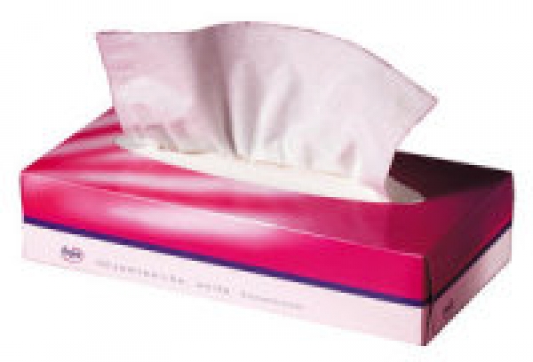 Fripa Kosmetiktücher, Tissue, 2lagig, weich, 100Tücher/Pkg, 40Pkg/VE
